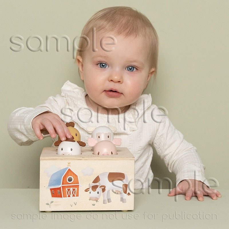 Pop-up little farm - Kidooz