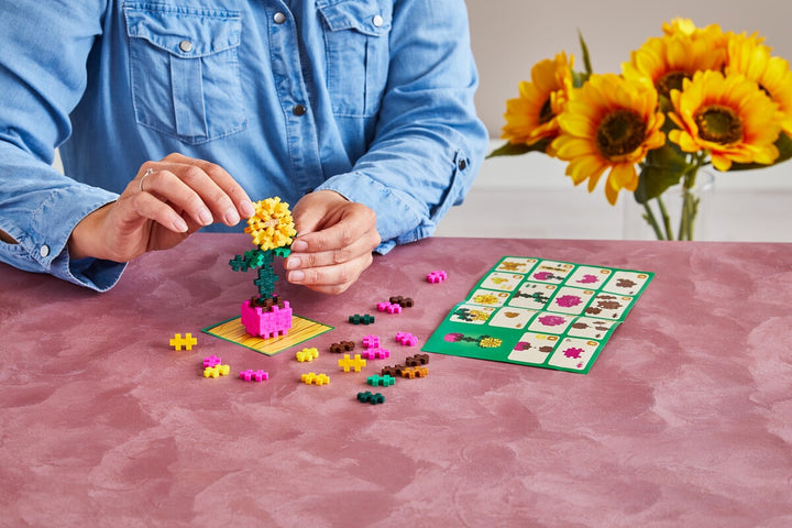 Plant packs — sunflower (50 st)