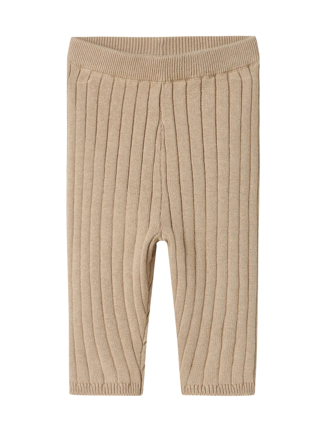 Broekje island fossil