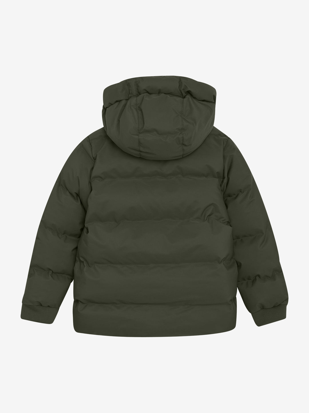 Winterjas kambaba