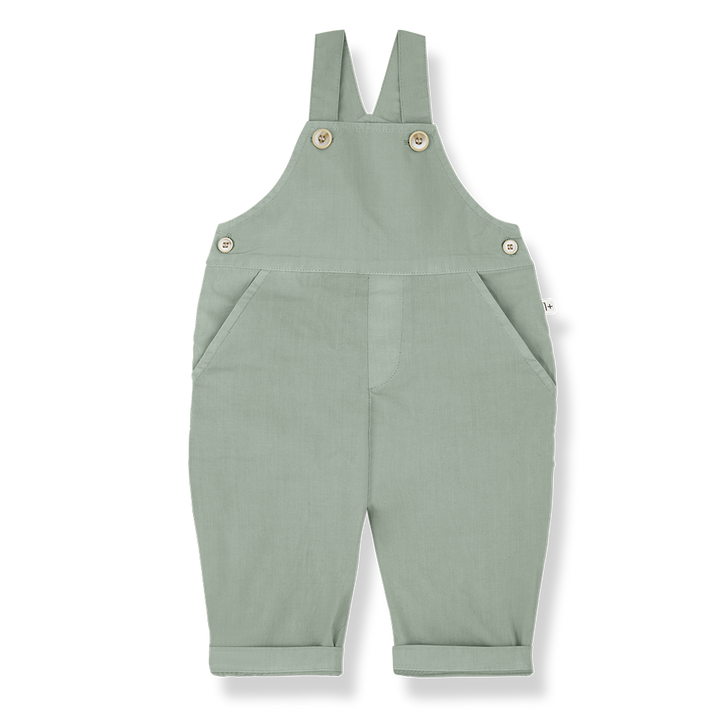 PALS - iceberg - dungaree
