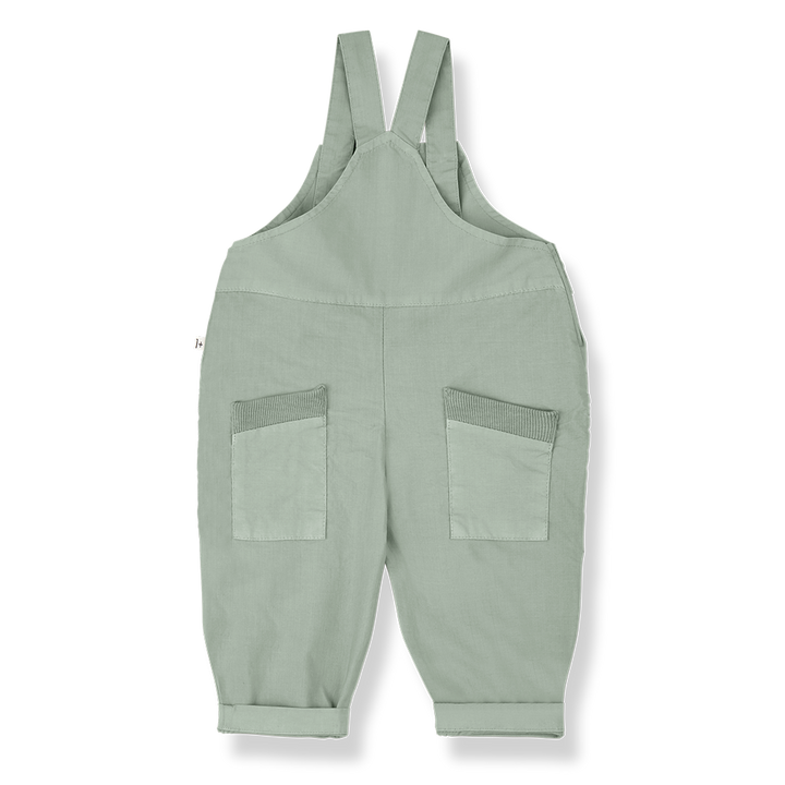 PALS - iceberg - dungaree