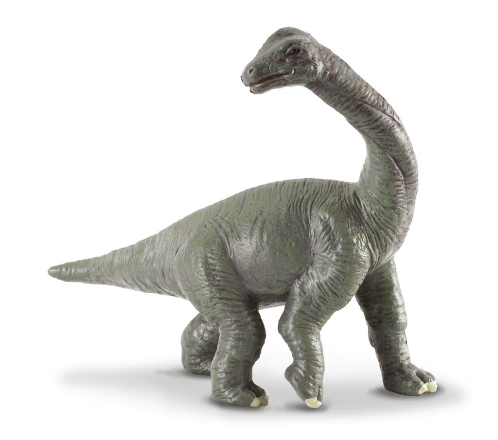 BRACHIOSAURUS BABY