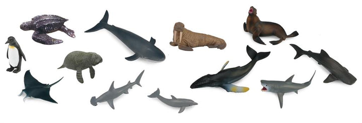 SET VAN 12 ZEEDIEREN