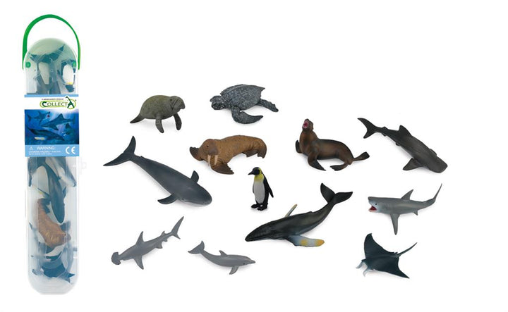 SET VAN 12 ZEEDIEREN