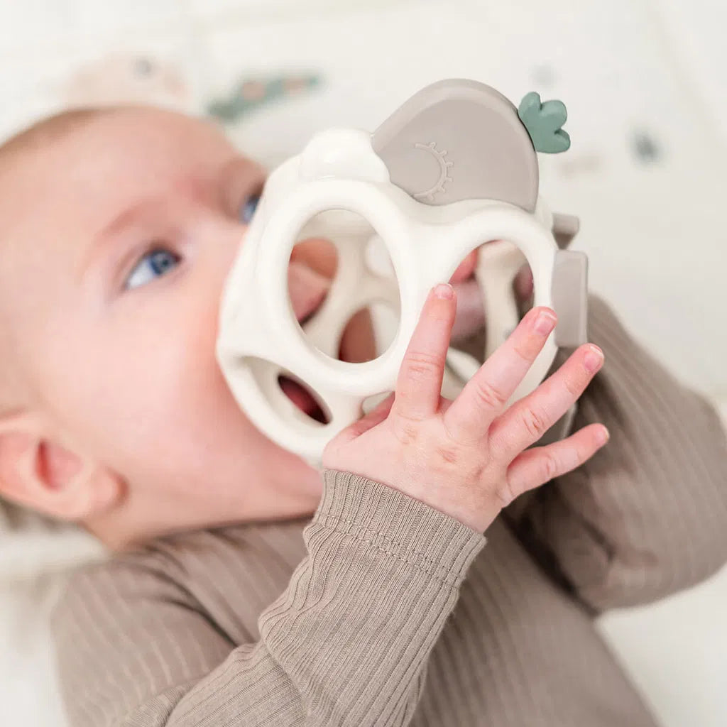 Grijp- & bijtspeeltje tiny farm