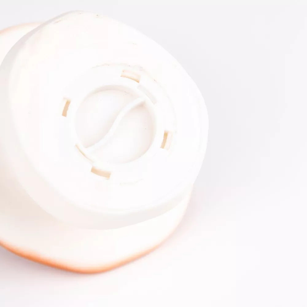 Spaarpot paddenstoel lila