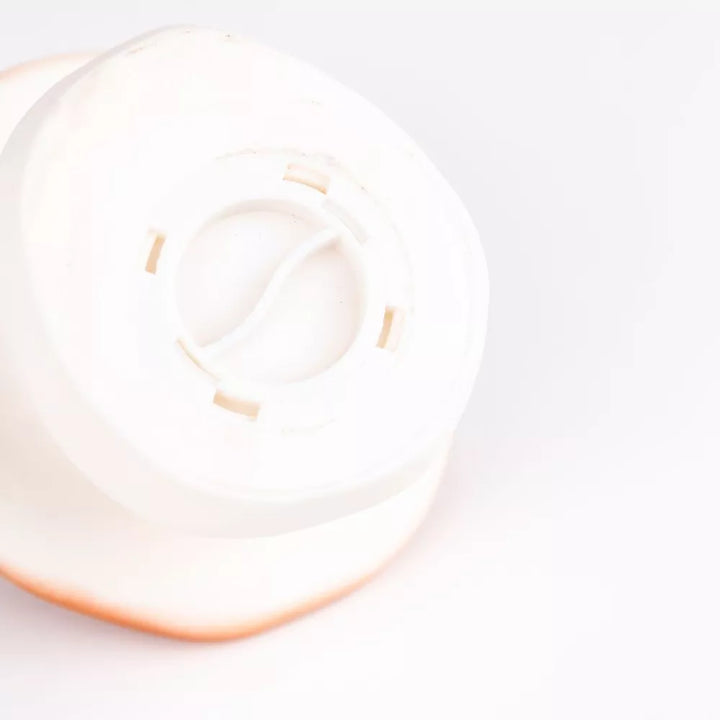 Spaarpot paddenstoel lila