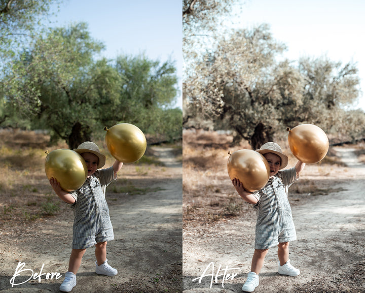 Presets bright neutral motherhood