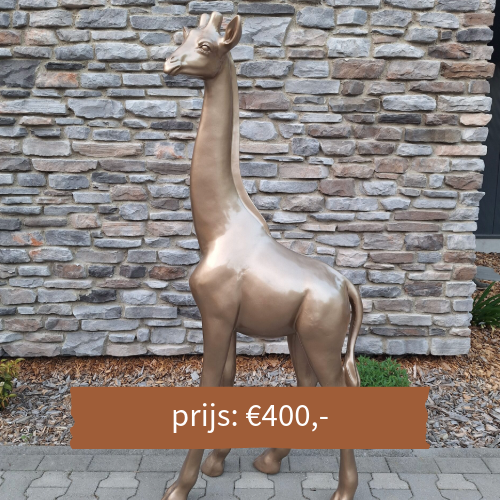 Beeld giraf goud 180 cm