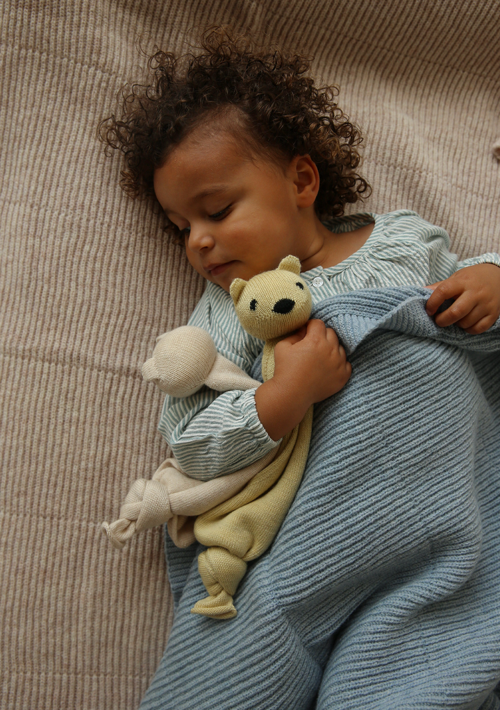 Teddy tokki cream