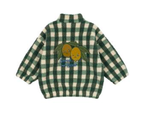 Jody teddy jasje green check