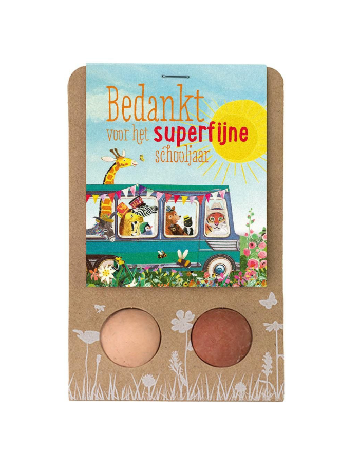 Blossombs schoolbus (2st)