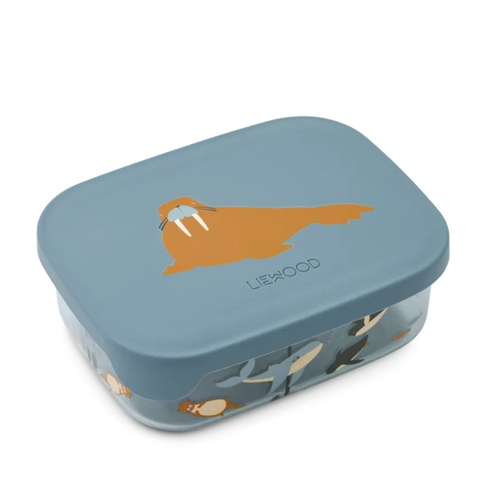 Arthur tritan lunchbox arctic sea ocean view