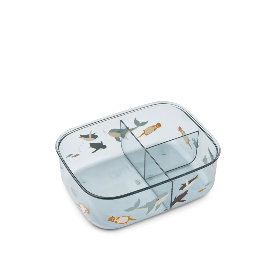 Arthur tritan lunchbox arctic sea ocean view