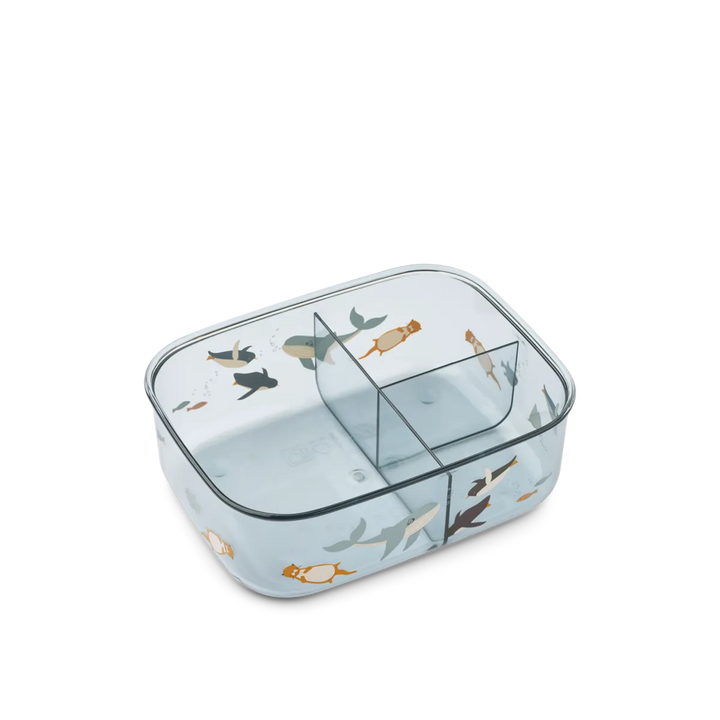 Arthur tritan lunchbox arctic sea ocean view