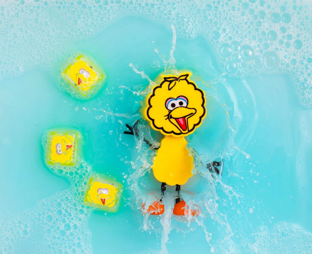 GP-FIN-CHAR-BIGBIRD_4