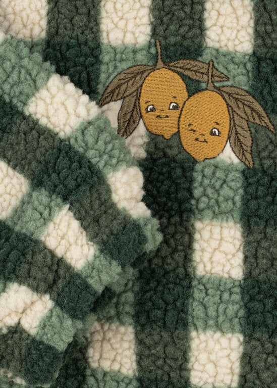 Jody teddy jasje green check