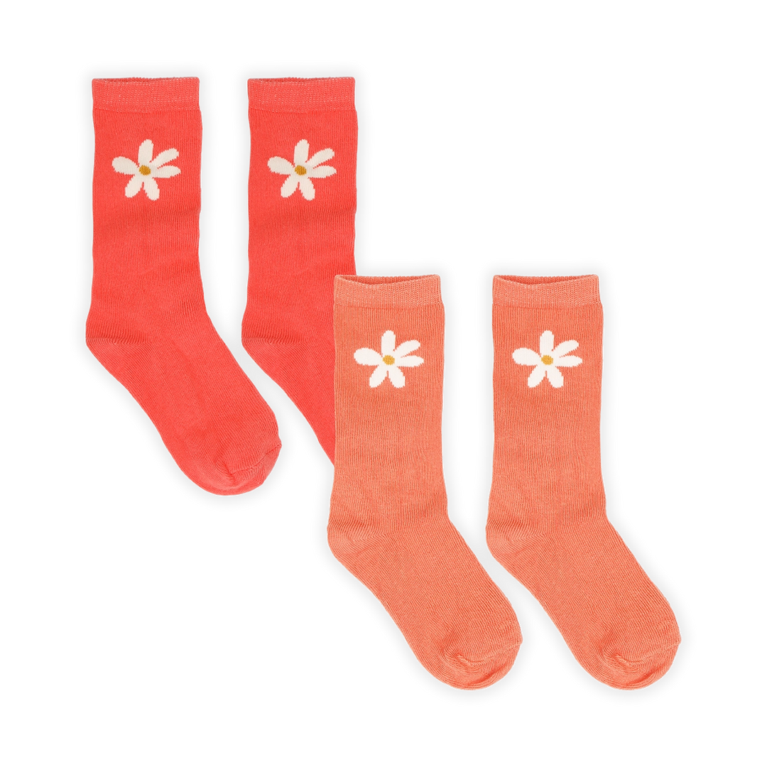 Socks daisy rose petal - 2-pack Rose petal primary